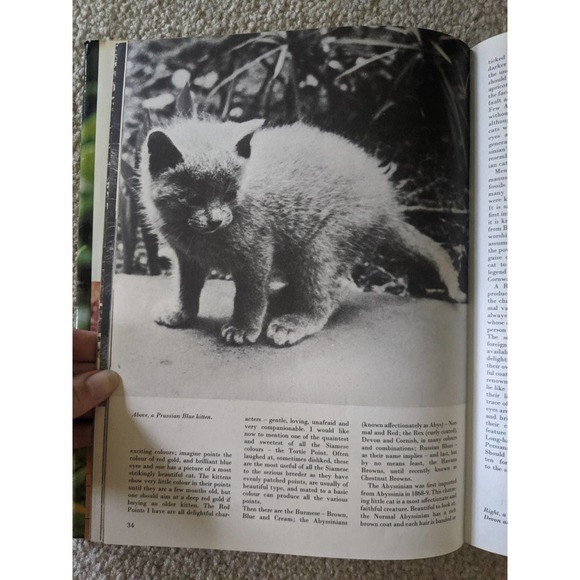 The Treasury of Kittens by Marjorie Hudson (1973) Vintage Hardcover Book - Picture 3 of 7